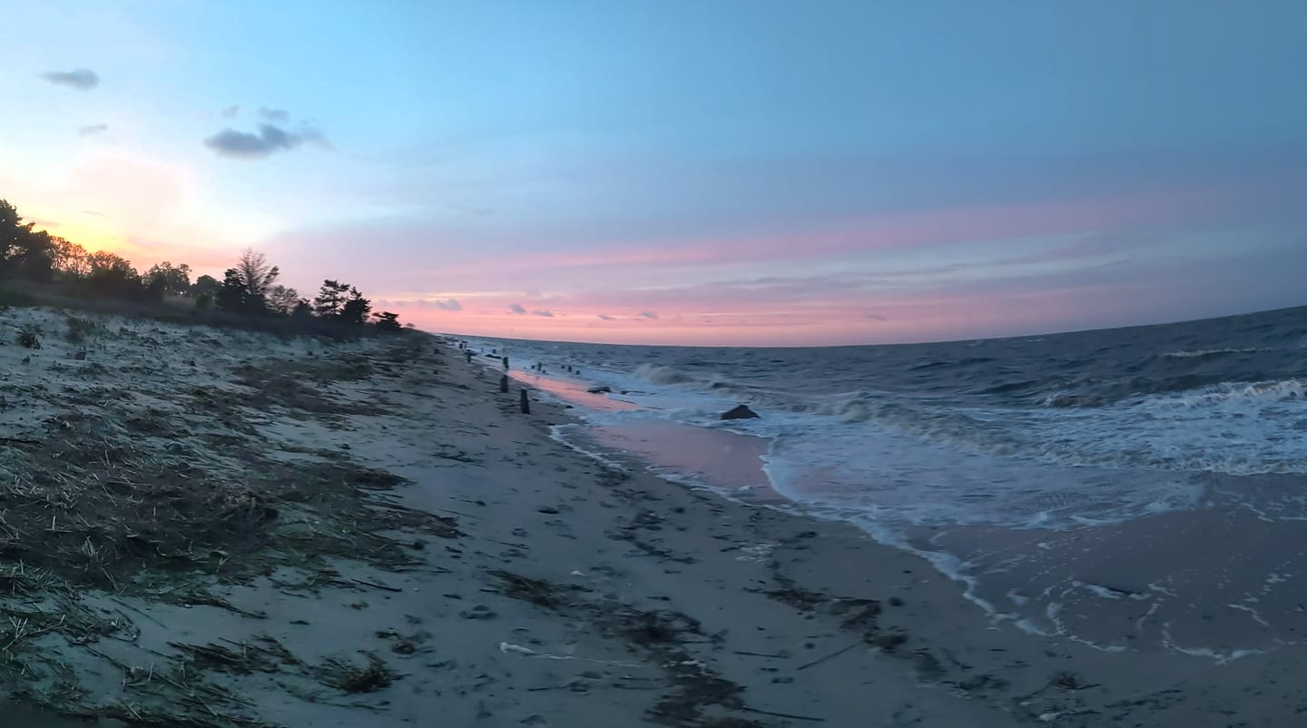 Delaware Environment Historic Perspective: Preserving Delaware’s Natural Heritage through ...